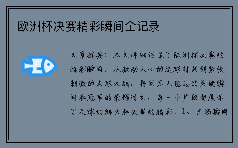 欧洲杯决赛精彩瞬间全记录
