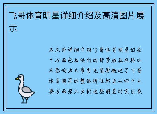 飞哥体育明星详细介绍及高清图片展示