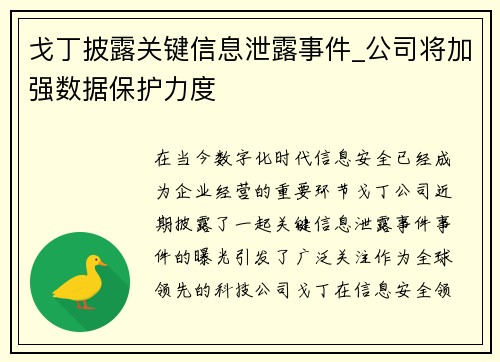戈丁披露关键信息泄露事件_公司将加强数据保护力度